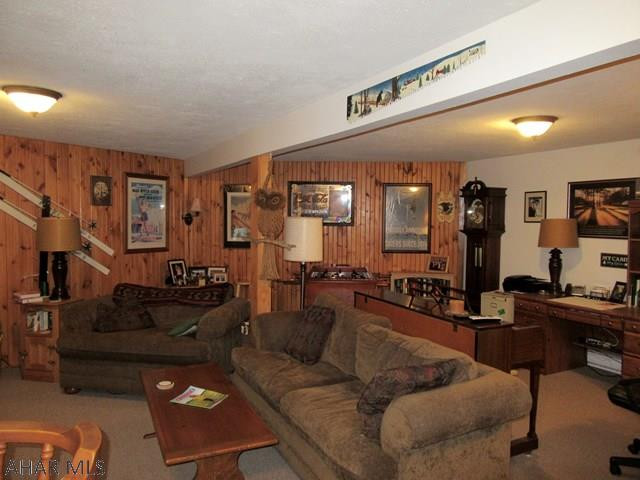 Blue Knob - Residential