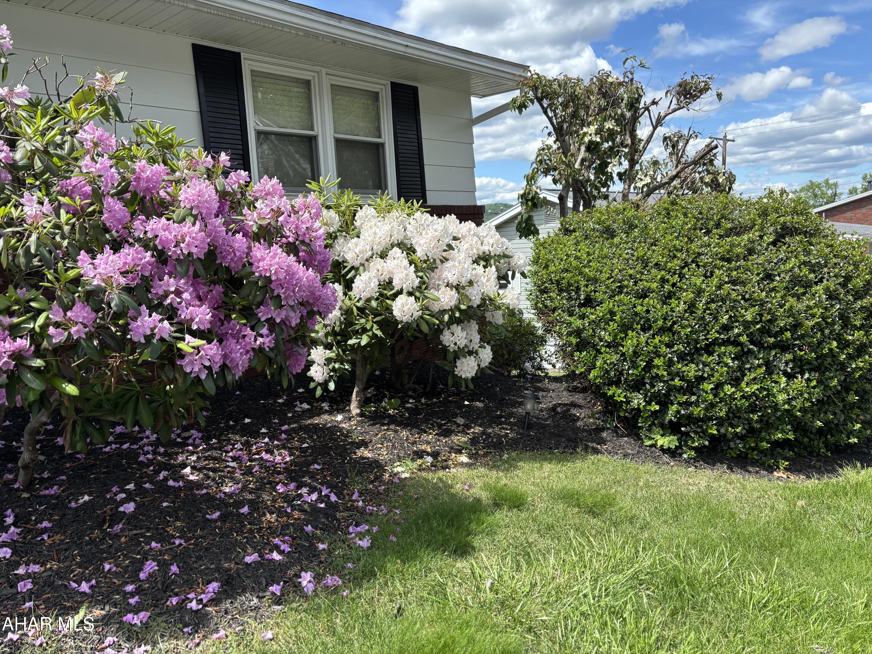 Fairview - Residential