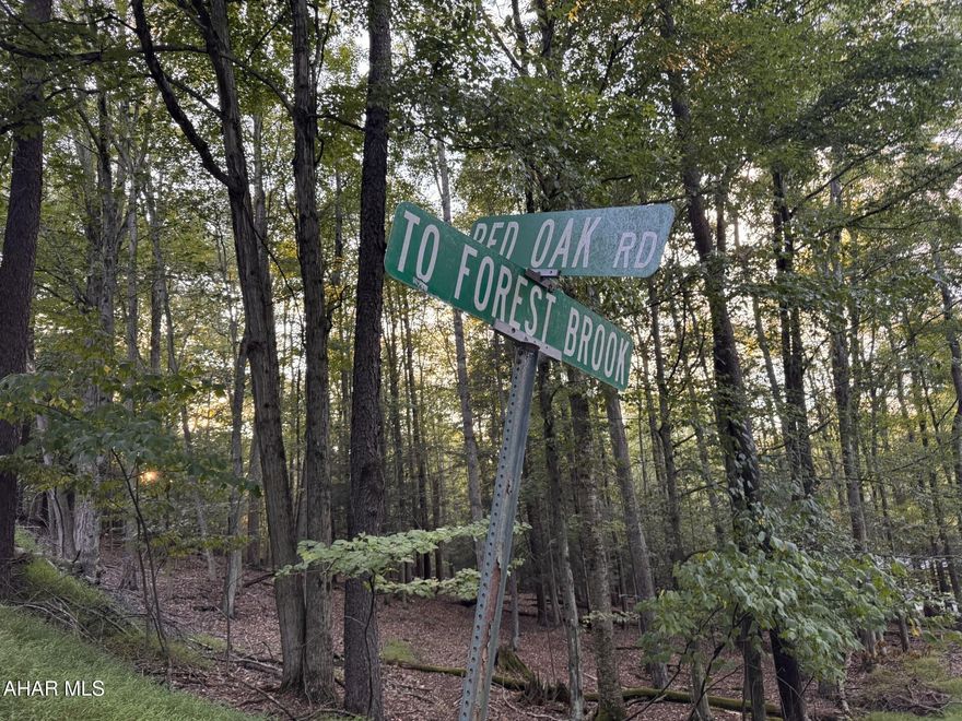 1.1 acre wooded building lot located in Glendale Yearound. Public water, sewer and electricity are available.