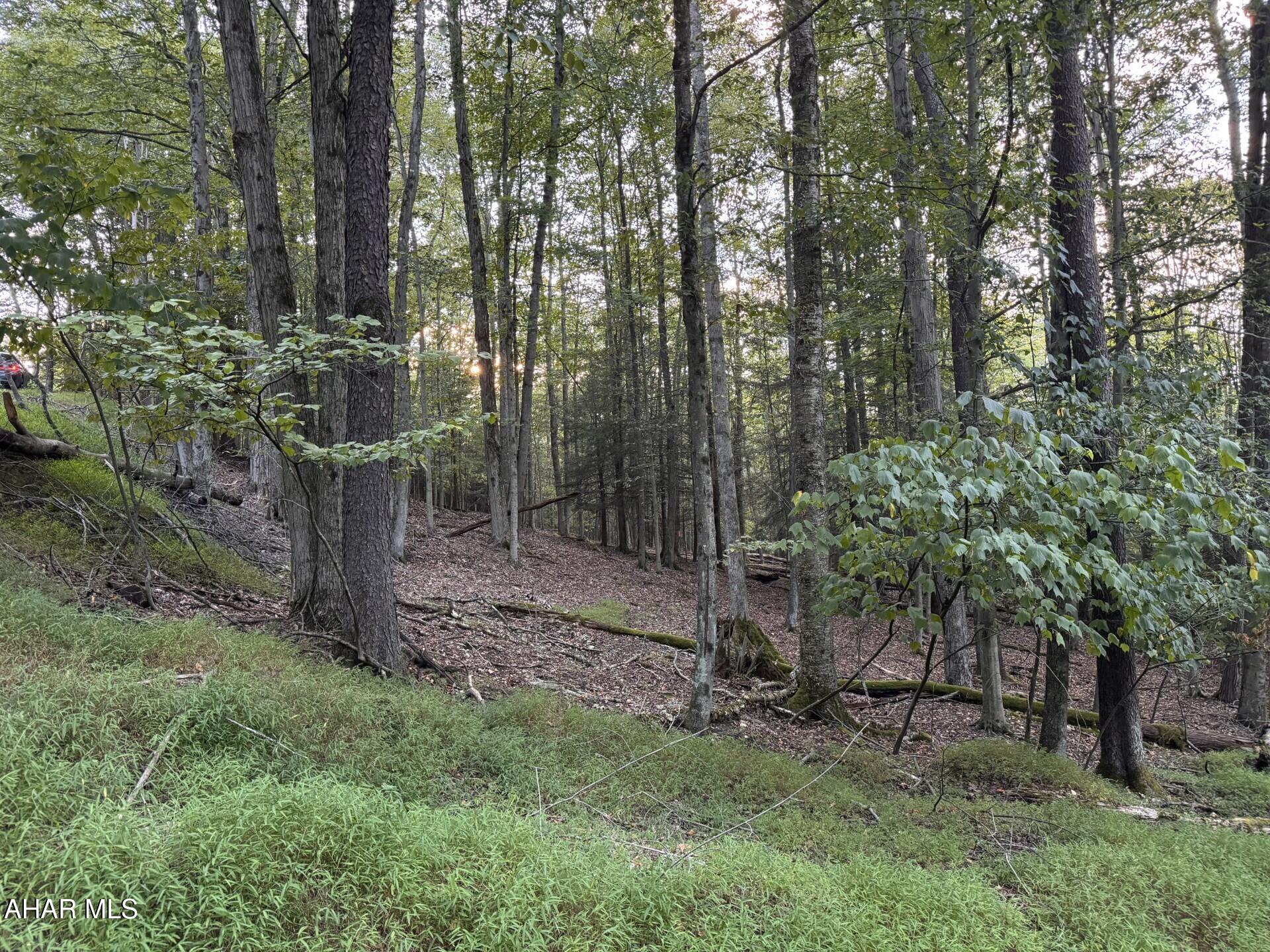 Glendale Yearound - Commercial Sale