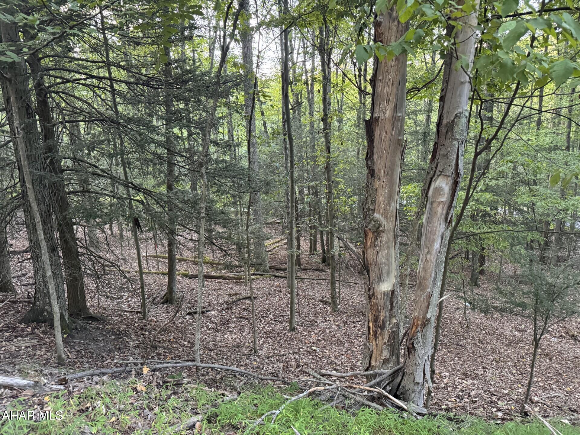 Glendale Yearound - Commercial Sale