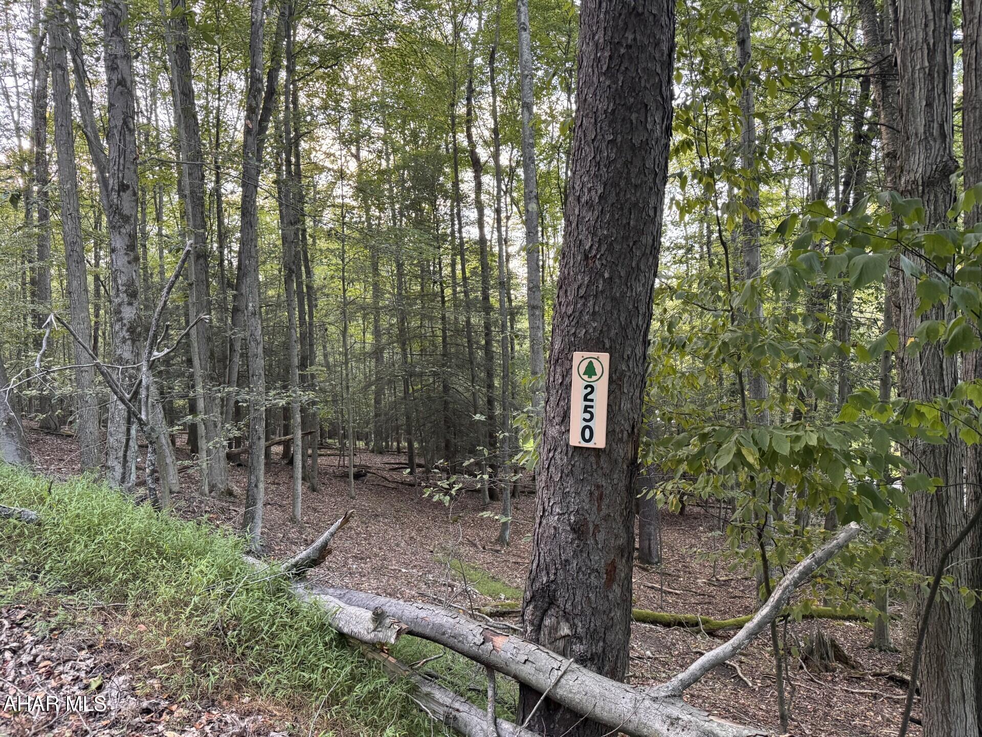 Glendale Yearound - Commercial Sale