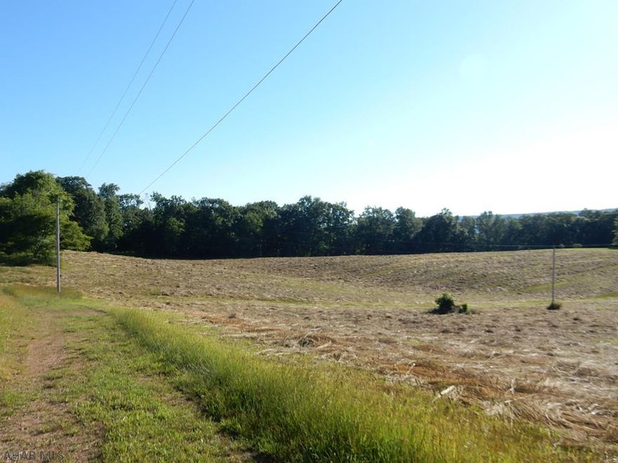 Nice vacant ground on rolling farm land in a quiet setting. 14 + acres. A great place to build your home!