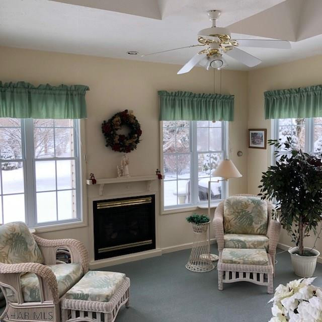 Juniata Mills - Residential