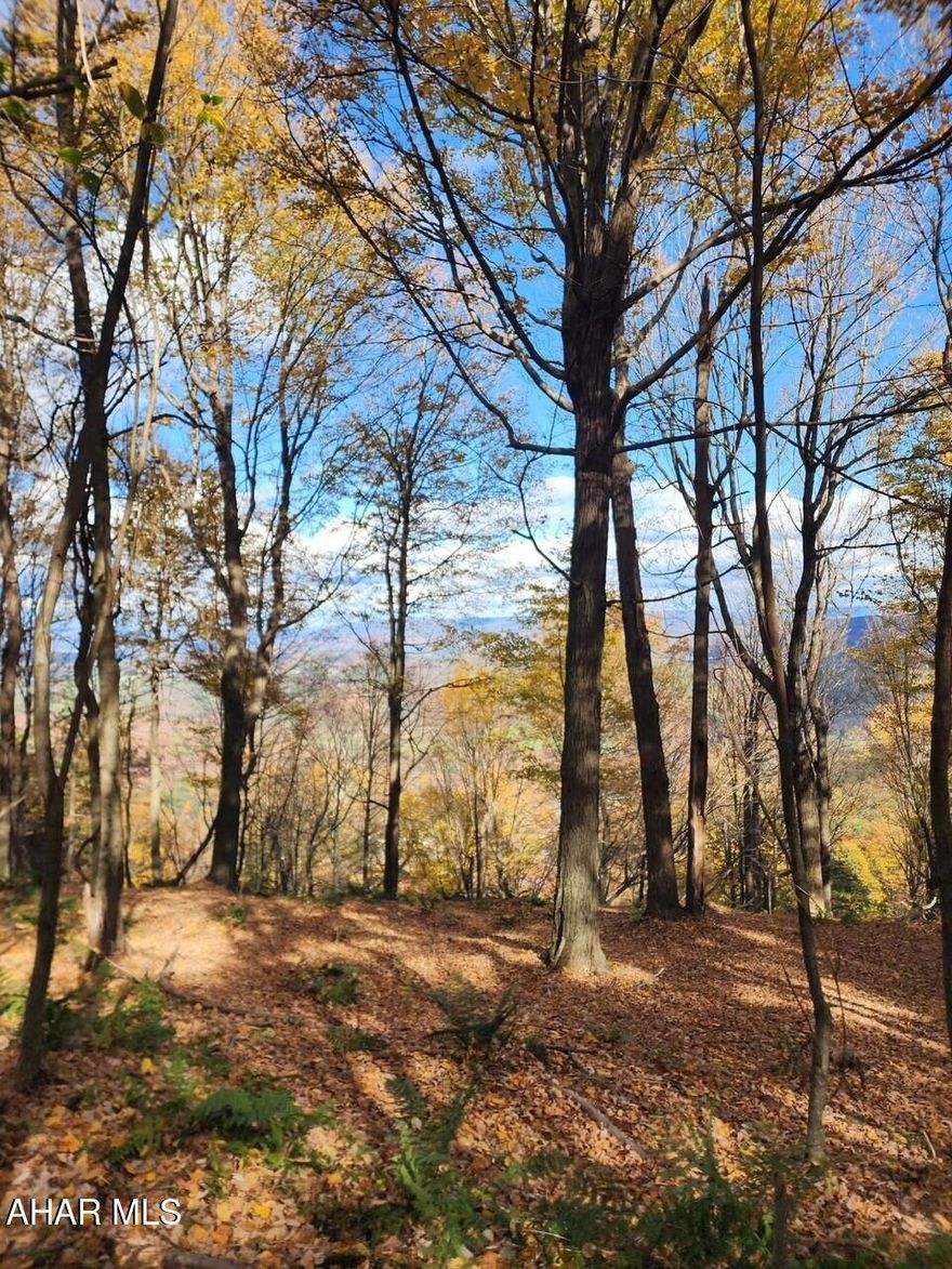 Spectacular views await the buyer of this beautiful lot in Kittanning Run.  Public water and sewer access available and HOA fees cover the access to Blue Knob's multitude of year round amenities.