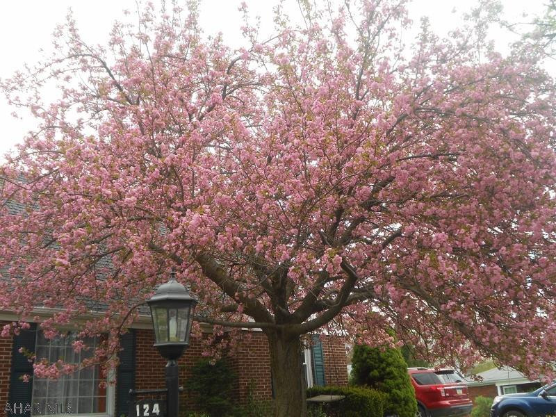 Hammer Development - Residential