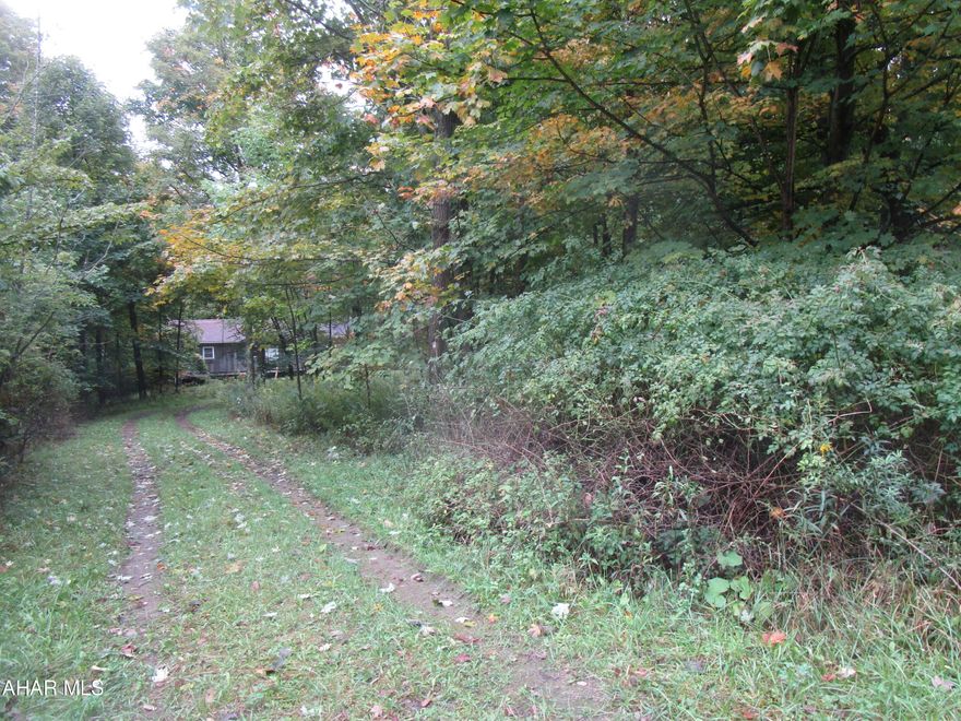 -BEING SOLD ''AS IS'' - ''WHERE IS''.
CASH BUYER ONLY.  -  A ''HOLD HARMLESS ADDENDUM'' MUST BE SIGNED BY BUYER & SHOWING AGENT & PROVIDED TO LIST. AGENT PRIOR TO GOING ON THE PROPERTY; ALL BUYERS MUST BE ACCOMPANIED BY A REAL ESTATE AGENT - NO DRIVE-BYS.  - DANGER: BUYERS AND AGENTS: DO NOT ATTEMPT TO ENTER THE MAIN & BASEMENT LEVELS.  THIS IS AN UNFINISHED HOUSE WITH A COLLAPSED FOUNDATION WALL(S) WITH UNSTABLE SOILS NEAR OR ABUTTING THE FOUNDATION WALLS.  
(Buyer is responsible for confirming: well status-if there is one on site; 10/5/98 septic permit # P42681 status; electric provider (believed to be B.R.E.C. 623-5101); taxes, age & site area.)