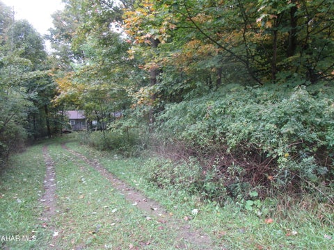 Photo for 488 Mountain View Drive