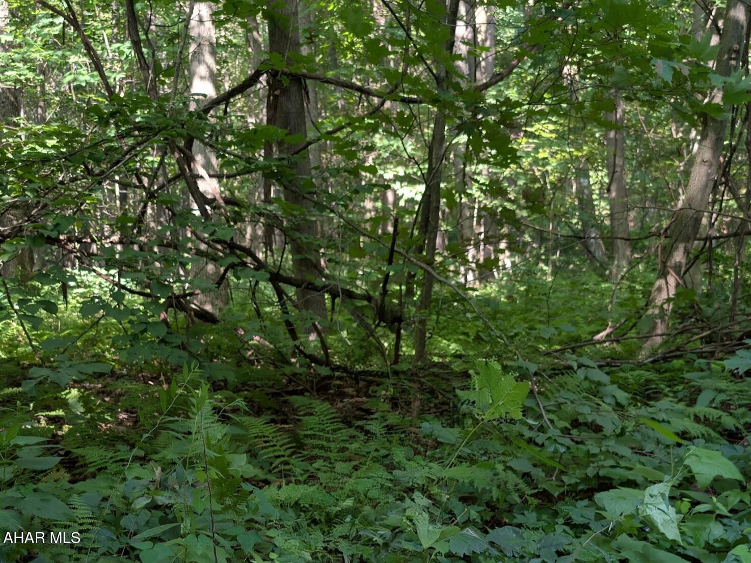 Other - Commercial Sale