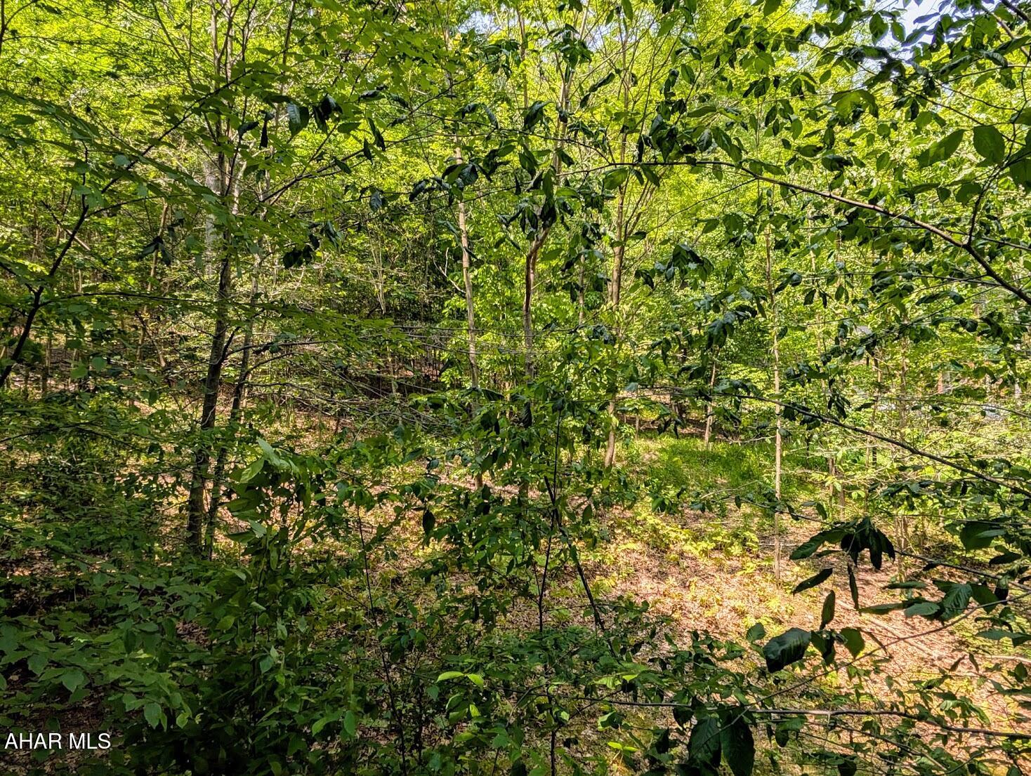 Other - Commercial Sale