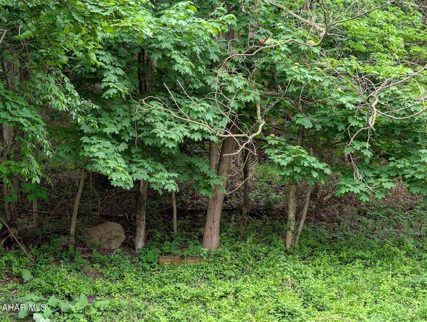 Other - Commercial Sale