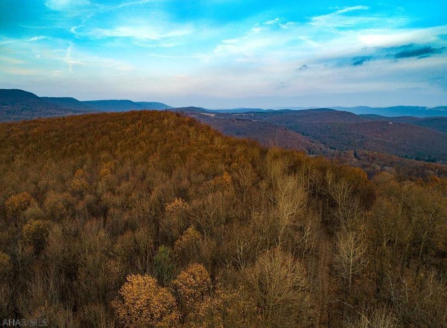 117.87 secluded mountain acres approximately 15 miles from State College & Penn State University. Flag shaped lot off of E Mountain Rd is secluded off of main road with its own private lane. Tranquil wooded land perfect for your dream home, hunting retreat or have both. Choose your own builder, no restrictive covenants & currently enrolled in Clean & Green. There is a preliminary subdivision of 5 lots done by Henry Surveys. The true meaning of solitude.  Click here to view drone video of land: https://www.youtube.com/watch?v=m6-dDncmoFM