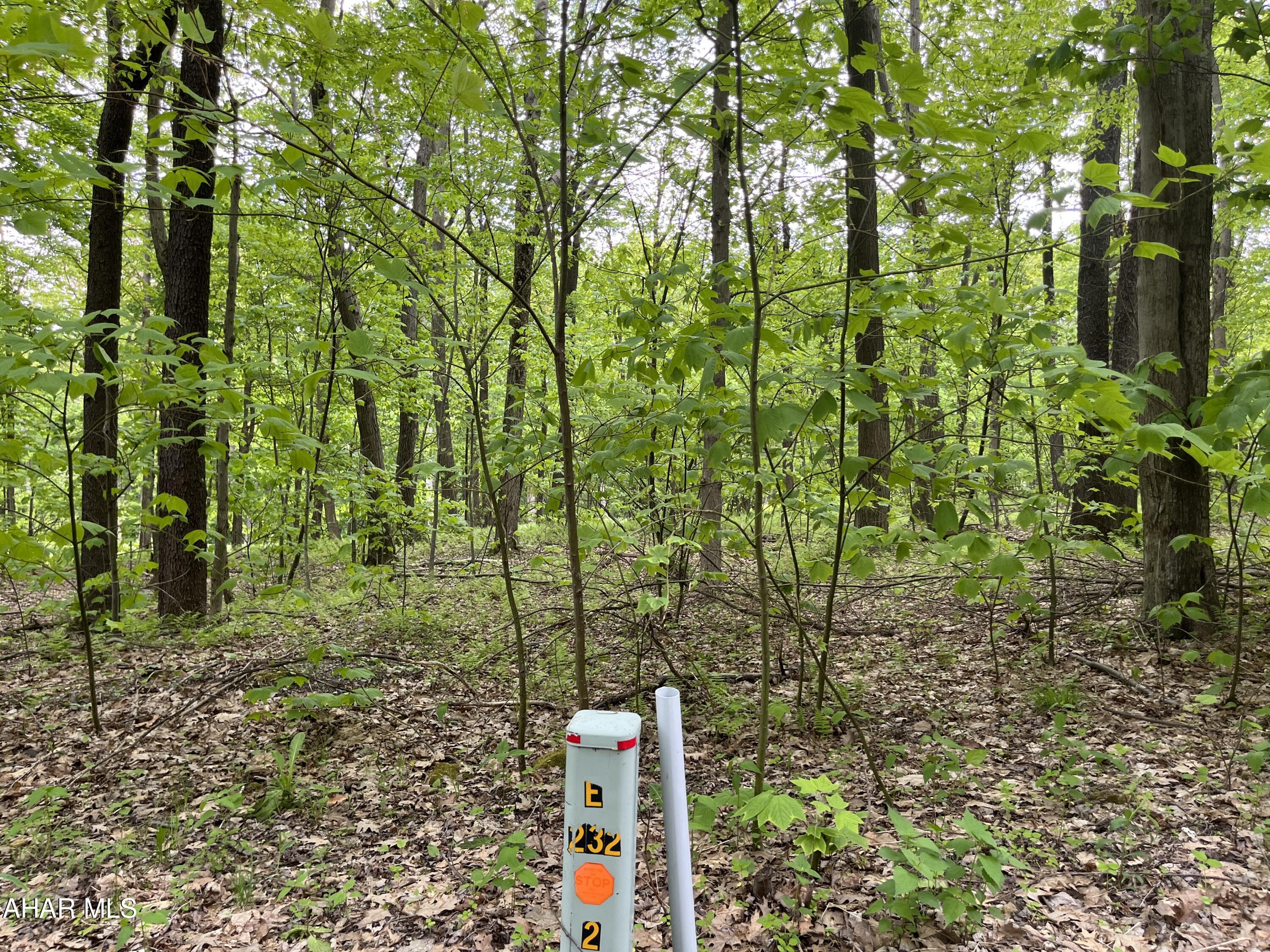 Blue Knob - Commercial Sale