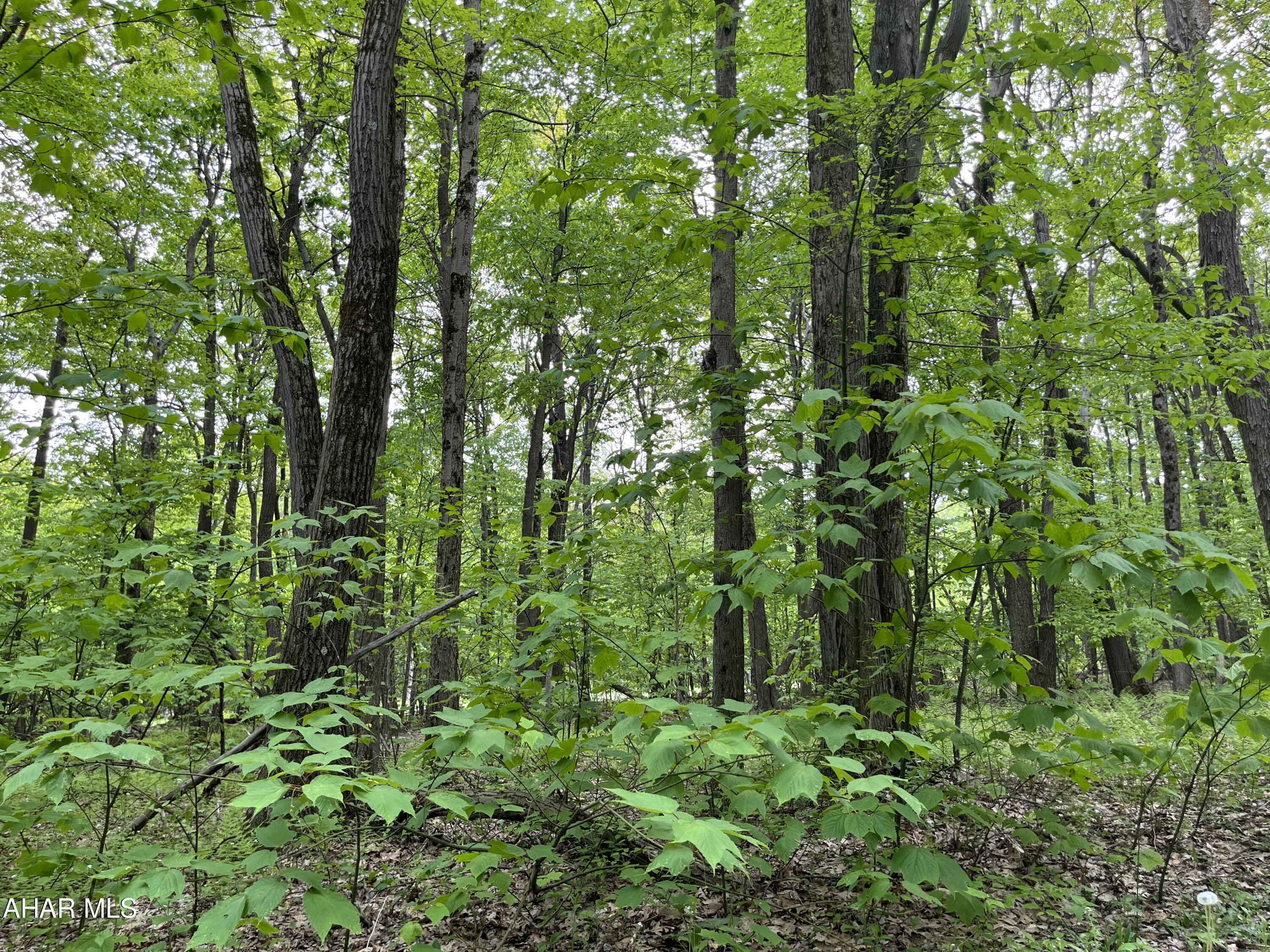 Blue Knob - Commercial Sale