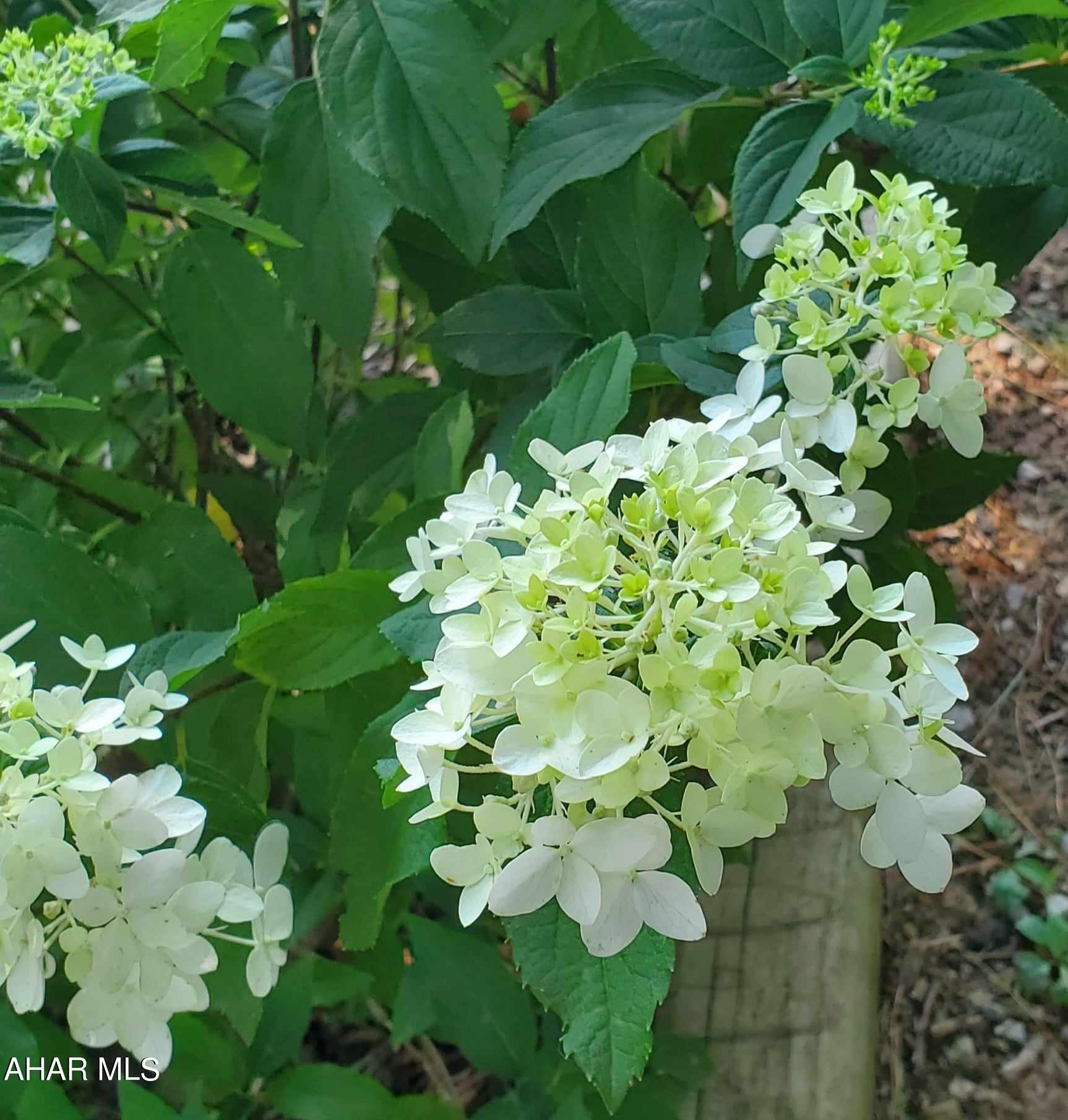 Foor Addition - Residential