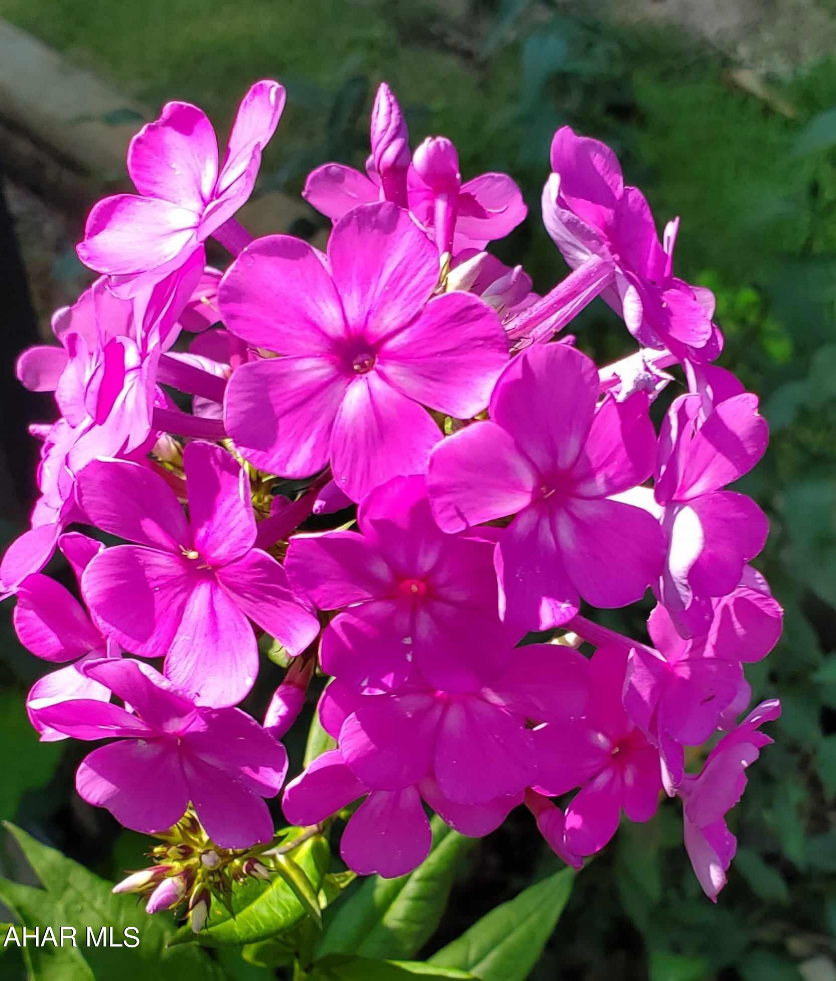 Foor Addition - Residential