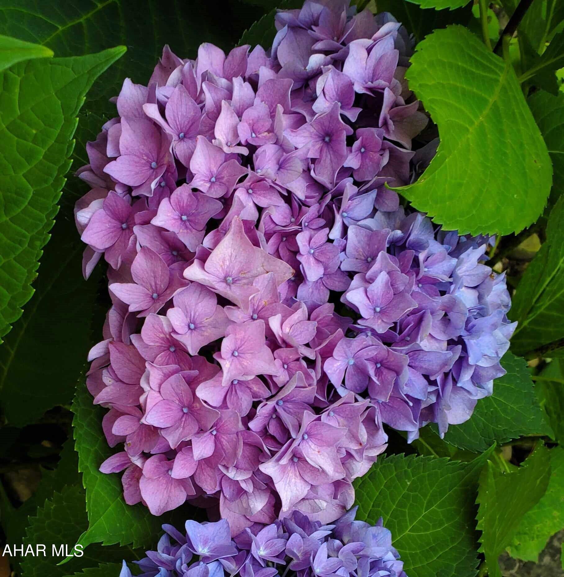 Foor Addition - Residential