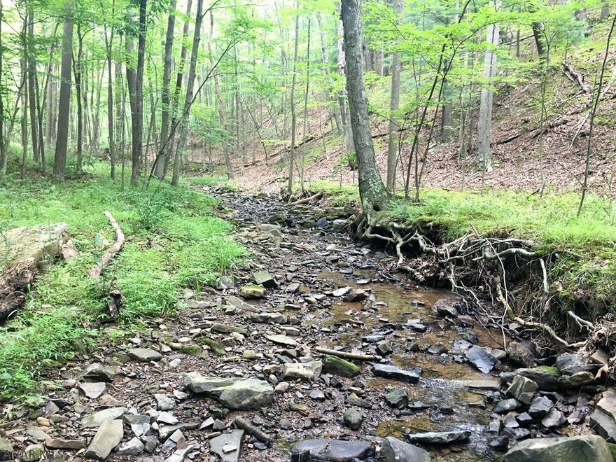 11.7+/- Acres with a small stream located within walking distance of the Buchanan State Forest. This property would make an excellent location for a camp or full time residence. Small shed on the property will convey.