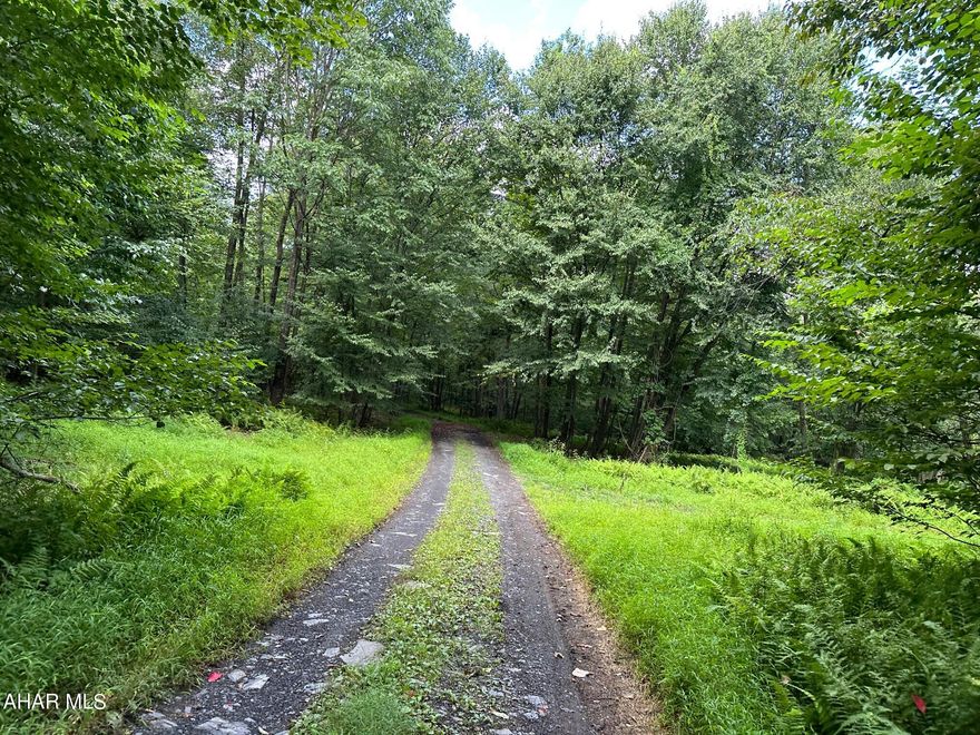 28.71 acre wooded lot in southern Bedford County.  Would make an excellent building site for a full time residence or a weekend retreat.  Excellent hunting and easy access.