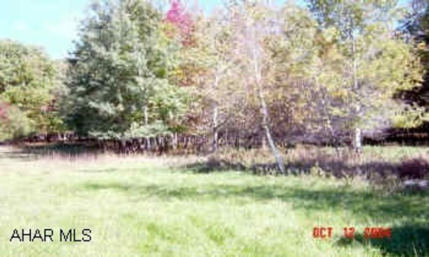 7.813 acres - Logan Twp. - Perc done - Sandmound approved - Sewage module completed. Survey & site plan. Needs well. Natural pond.