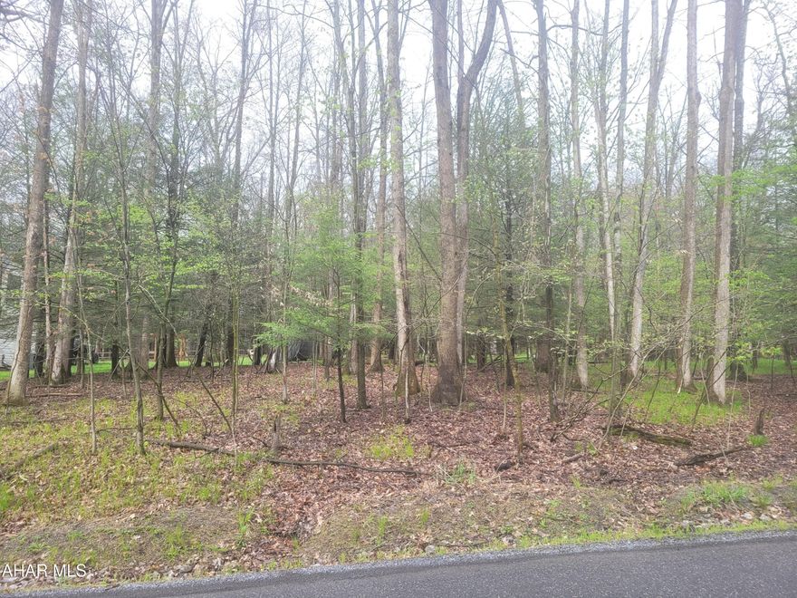 Beautiful 1/2 acre wooded lot for your new home pr cabin.  This lot is very close to Prince Gallitzin State Park / Glendale Lake.