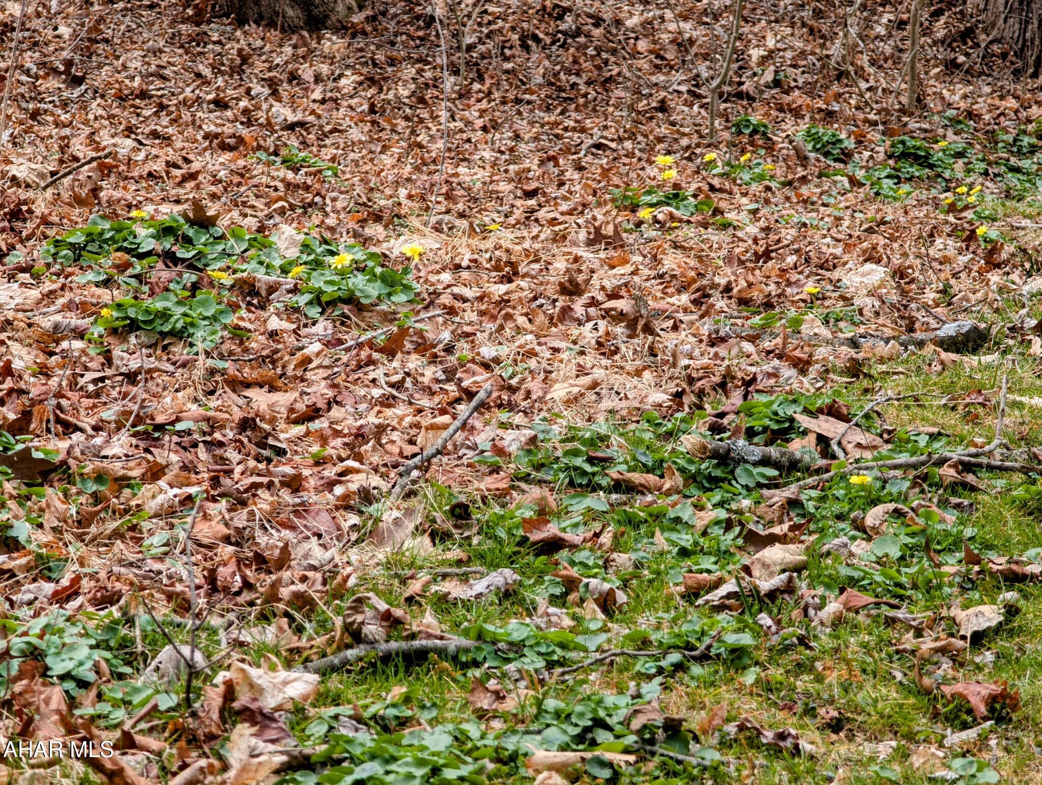 Cliffside Acres - Residential