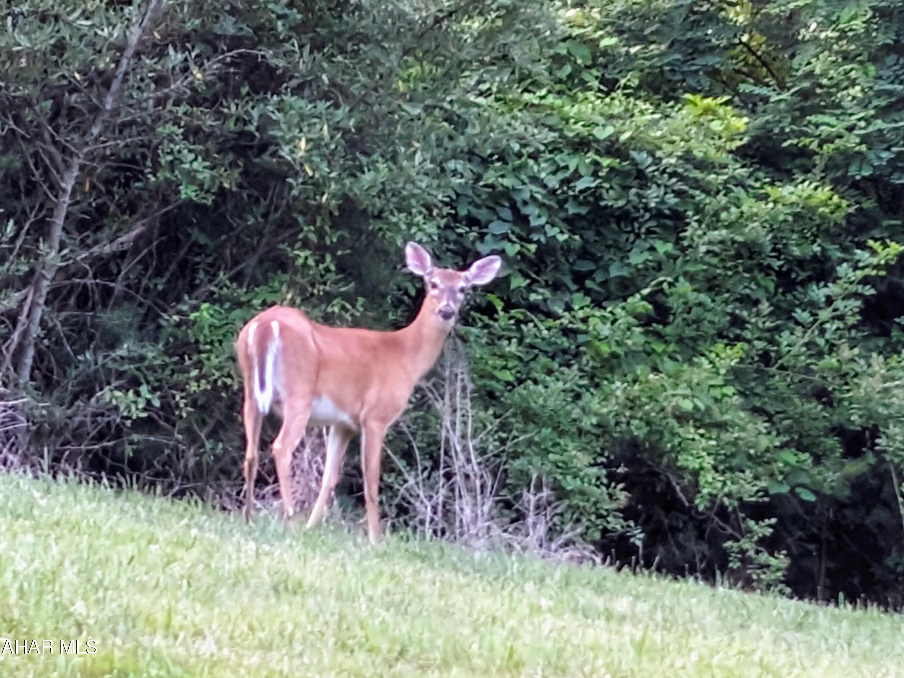 Cliffside Acres - Residential