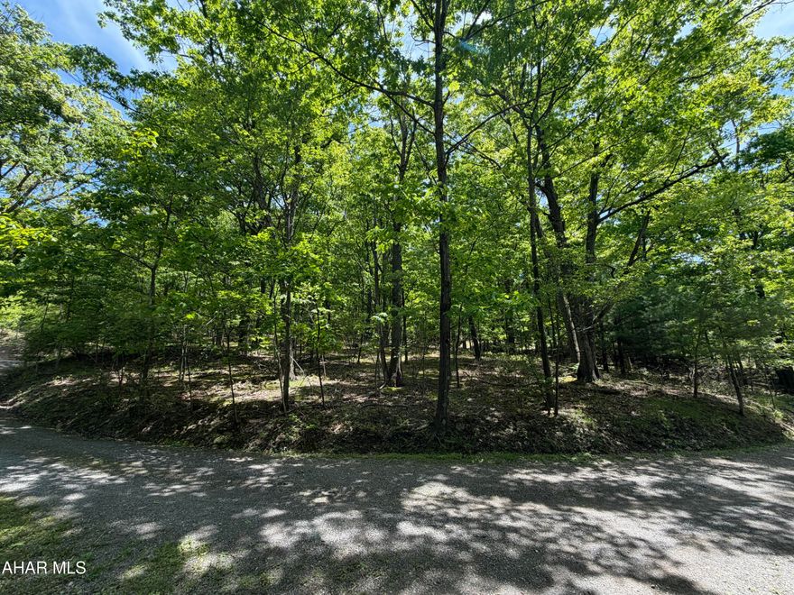 Great opportunity to own a spacious parcel tucked away in a great area. 2.45 acre residential building lot ready for your future home.