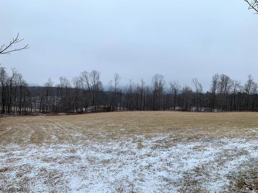 31.35 acres of open and wooded land. This land has fields and adjoins Buchanan State Forest. Corner lot with public frontage along Mountain and Garland Roads. Site is perc approved for a private sewer system and a private well will need drilled. Beautiful building site for year round home or a recreational use property. Contingent upon subdivision approval.