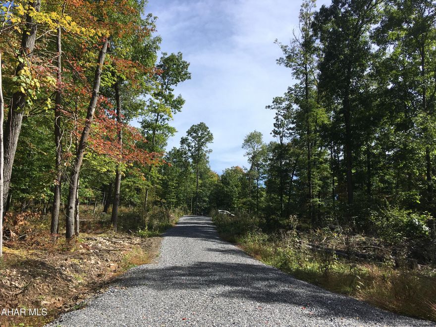 Beautiful 10.1 wooded acre property available to build your dream home! Small portion of the lot has been cleared, along with a gravel drive and is ready for construction to begin. Perc test has been completed and a well drilled. The septic location has been established and permits approved. Permits have also been approved to install electric power to the property. Tons of infrastructure has already been completed for a new buyer. The lot is registered Clean and Green. Located with quick access to I99/220 and is only 20+ minutes to both State College and Altoona.