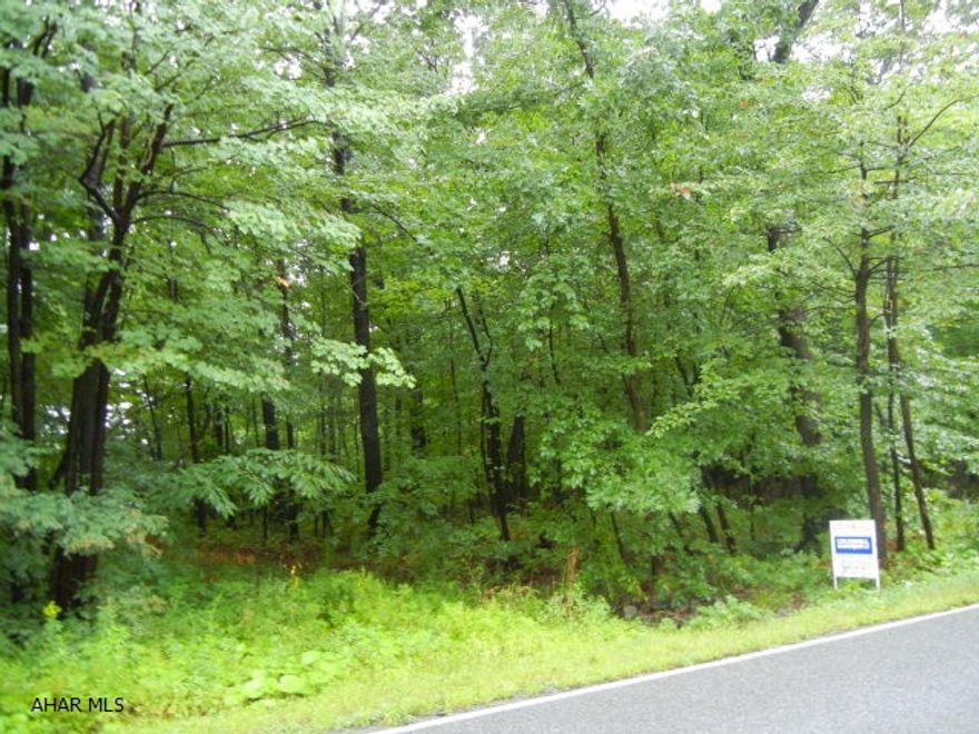 One of Blair County's most exclusive areas.  Level wooded lot in the Glades that offers deed restrictions.