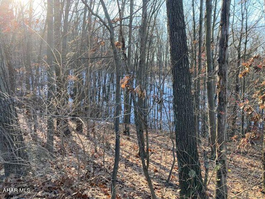 Lovely wooded building site. 6+ acres of privacy.