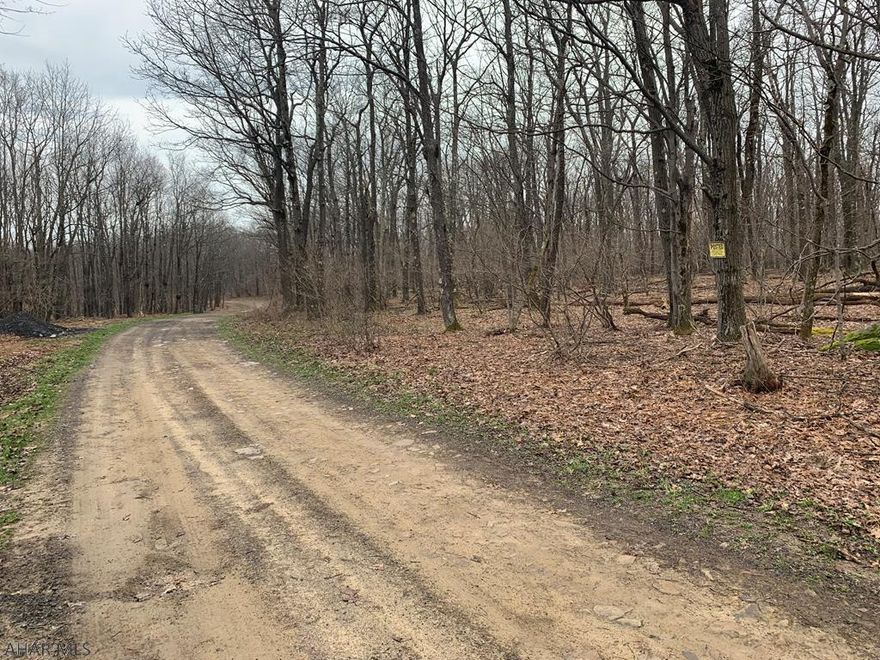 Nice wooded level 5+ acre lot to build your dream home or weekend getaway on. Located near State Game lands, Shawnee State Park, Indian Lake, and much more!