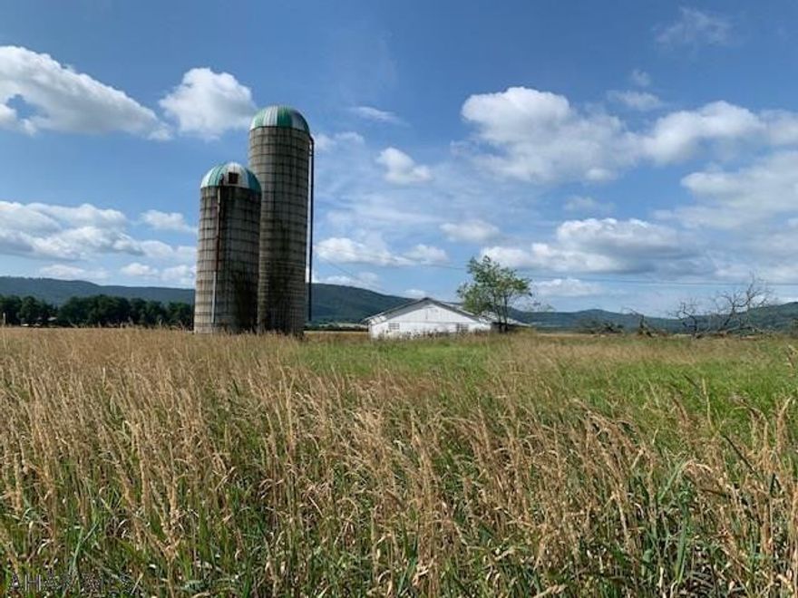 Picturesque Farm on 102 acres of Flat, Prime, Tillable land, great for crops such as corn, soy and winter wheat. Desirable location in the Friends Cove area!  Lean-to building for storage with cement Fl , 2 silos, 1 shed and a seasonal stream. Private lane to the 2 story home, with a new drilled well.  The home is spacious with 3 bedrooms and 1 bath, large country kitchen, laundry on the MF and a large master bedroom.