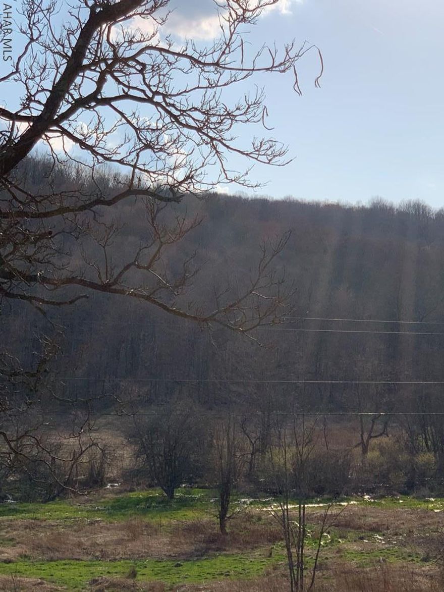 Land Land Land!  Perfect site for you!!! 33.33 ac in the Chestnut Ridge School District to build your dream home or hunting camp.  Great wildlife area!  Year around access and in clean & green.