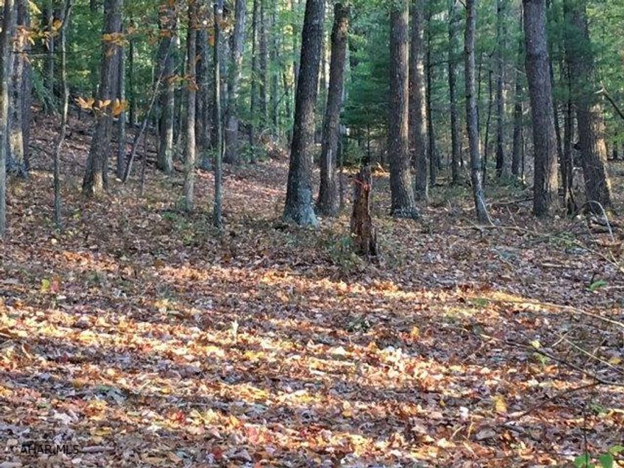 61.31 lovely acreage in rural setting that backs to State Game Lands. Easy access and timber value.