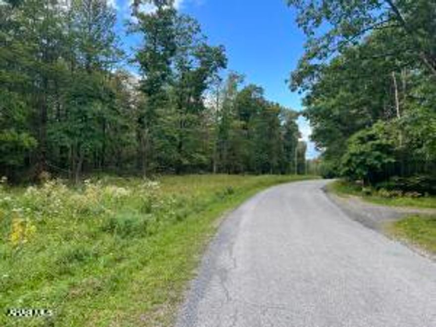 Beautiful wooded building site with lots of township road frontage. This site is mostly level and has been perc approved for a sand mound. The site adjoins large state game lands and affords privacy. Great location and very nice site for your new home or camp!