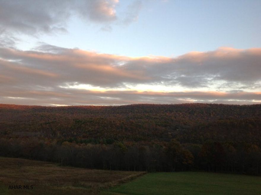 Fabulous building site with a great view. This 1.5 acres with road frontage and close to town would work for your dream house. Property has well and septic but condition of both are unknown.