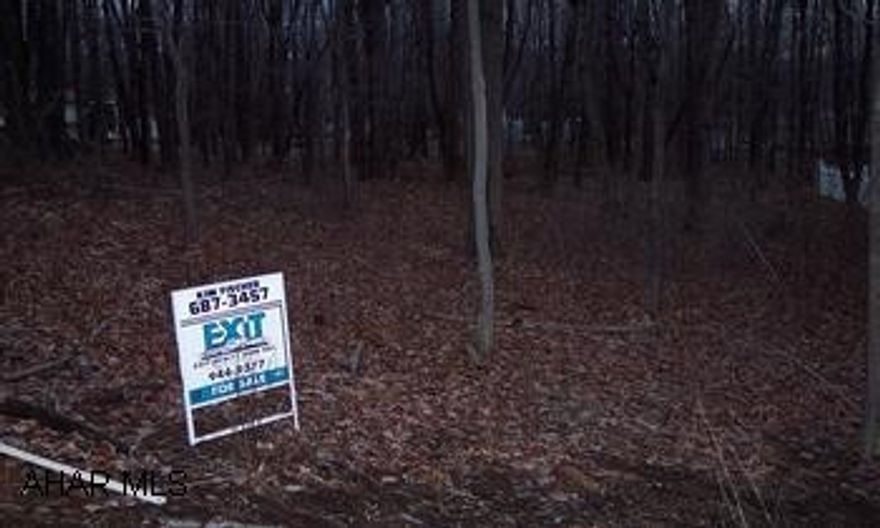 Flat 50x120 building lot. Great building lot in quiet neighborhhood in Bellwood. Flat 50x120 lot, water & sewer hook-ups available.