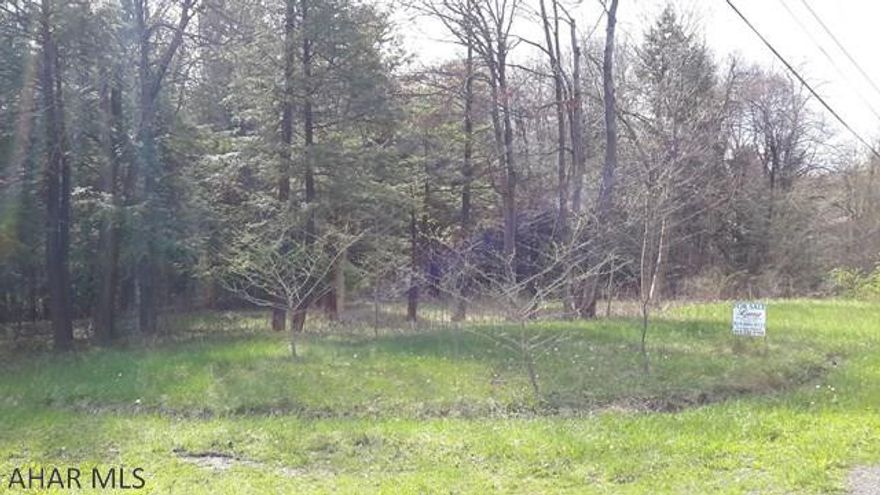 Great sportsman's property.  View of sportsman's club pond. Spring and pumphouse on property.Great piece of property for camp or new build. Not perk tested.