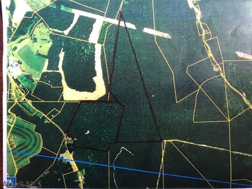 218.5 Acres of ground, some timber value. All mineral rights transfer.