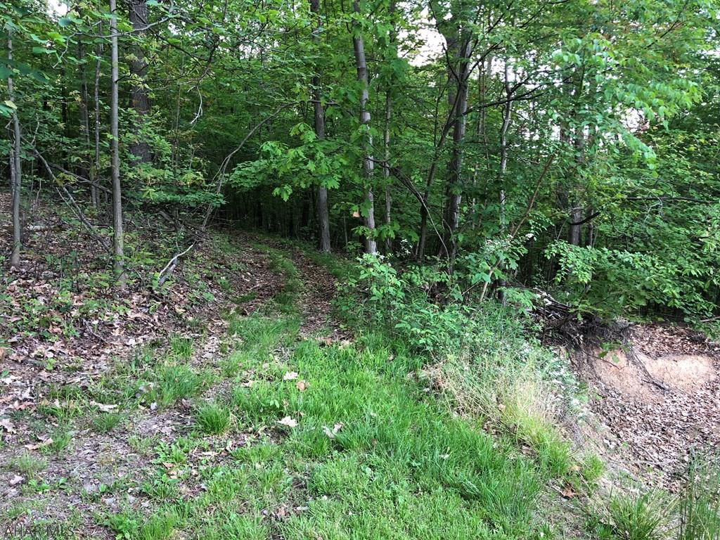 Antis Township - Residential