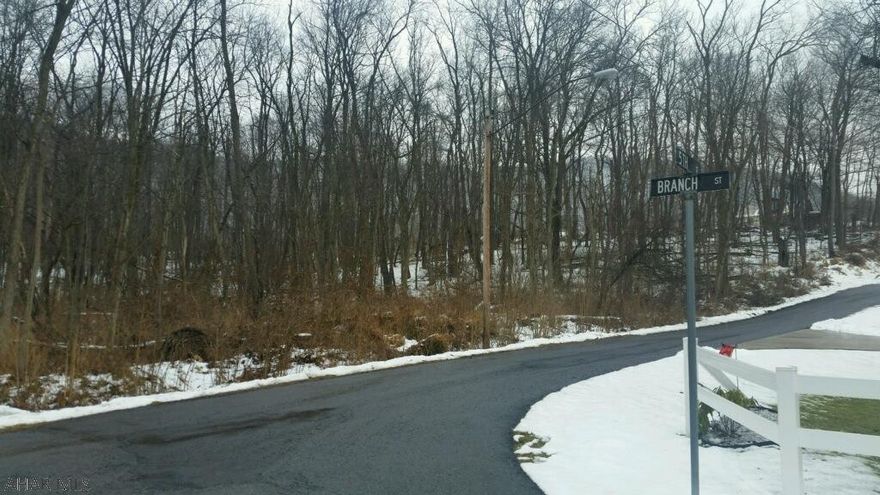 Large 8.08 ac lot w/ great potential! Nice, wooded 8.08 acre lot in Liberty Township adjoining Saxton Borough. Although the lot does not currently have water and sewer service on site, public service is available nearby for hook-up. Property is conveniently located near to schools and shopping. Just 15 minutes to Lake Raystown and 1/2 mile to the Juniata River. Lot survey available.