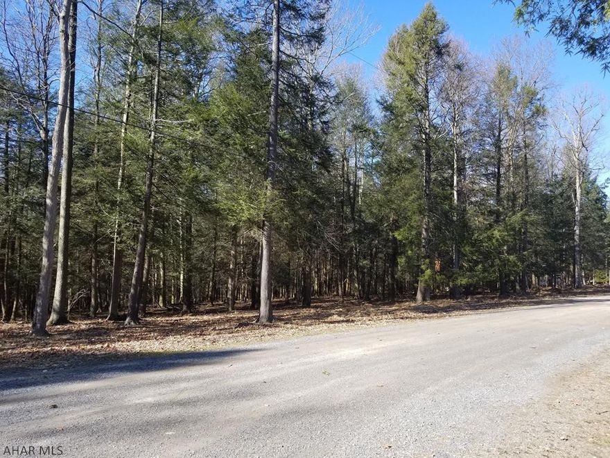 2 lots in Glendale Yearound totaling 2.25 acres!!! on a corner site. Gently sloping ground in the woods. Plenty of room for your dream home and not too close to any neighbors. All utilities are available. Glendale Yearound is a gated community located minutes from Glendale Lake and Prince Gallitzin State Park. Community pool. playground, basketball, tennis, security, and more.