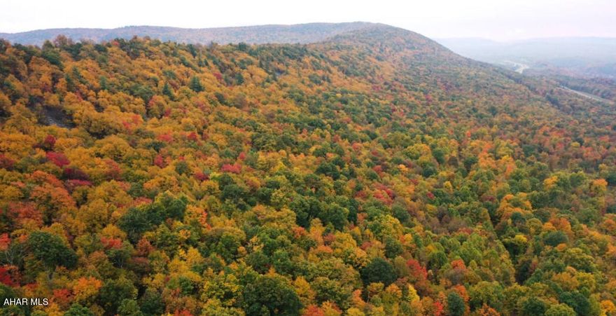 COMPARABLE PURPOSES ONLY