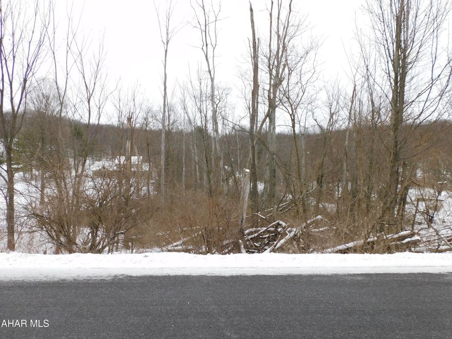 Approximately 1.59 Acres in Antis Township/Bellwood Antis School District. Lot is wooded. Only minutes from Altoona!