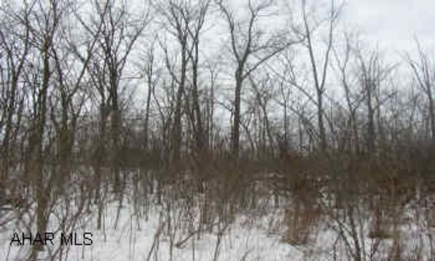 LIBERTY TOWNSHIP, BEDFORD COUNTY.  38.1 ACRES BORDERING STATE GAME LANDS.  GREAT FOR BUILDING, HUNTING.  ROAD FRONTAGE ON RTE 26.  MINUTES FROM LAKE RAYSTOWN.