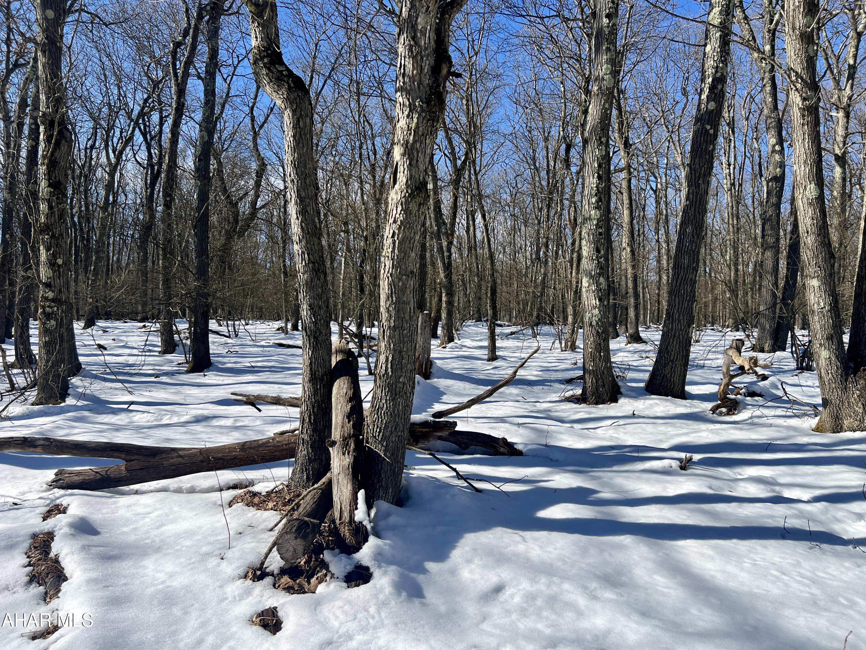 Folmont - Commercial Sale