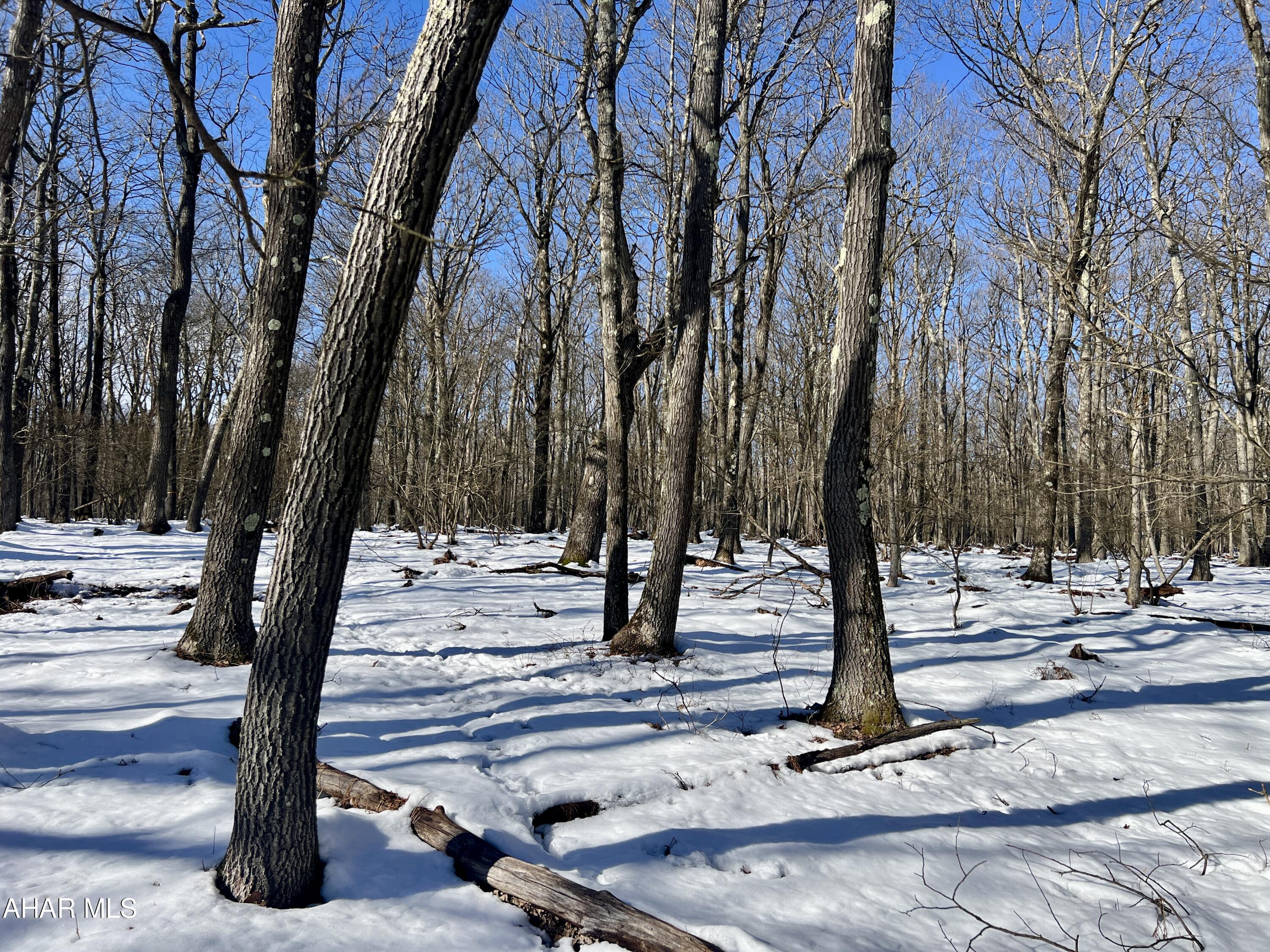 Folmont - Commercial Sale