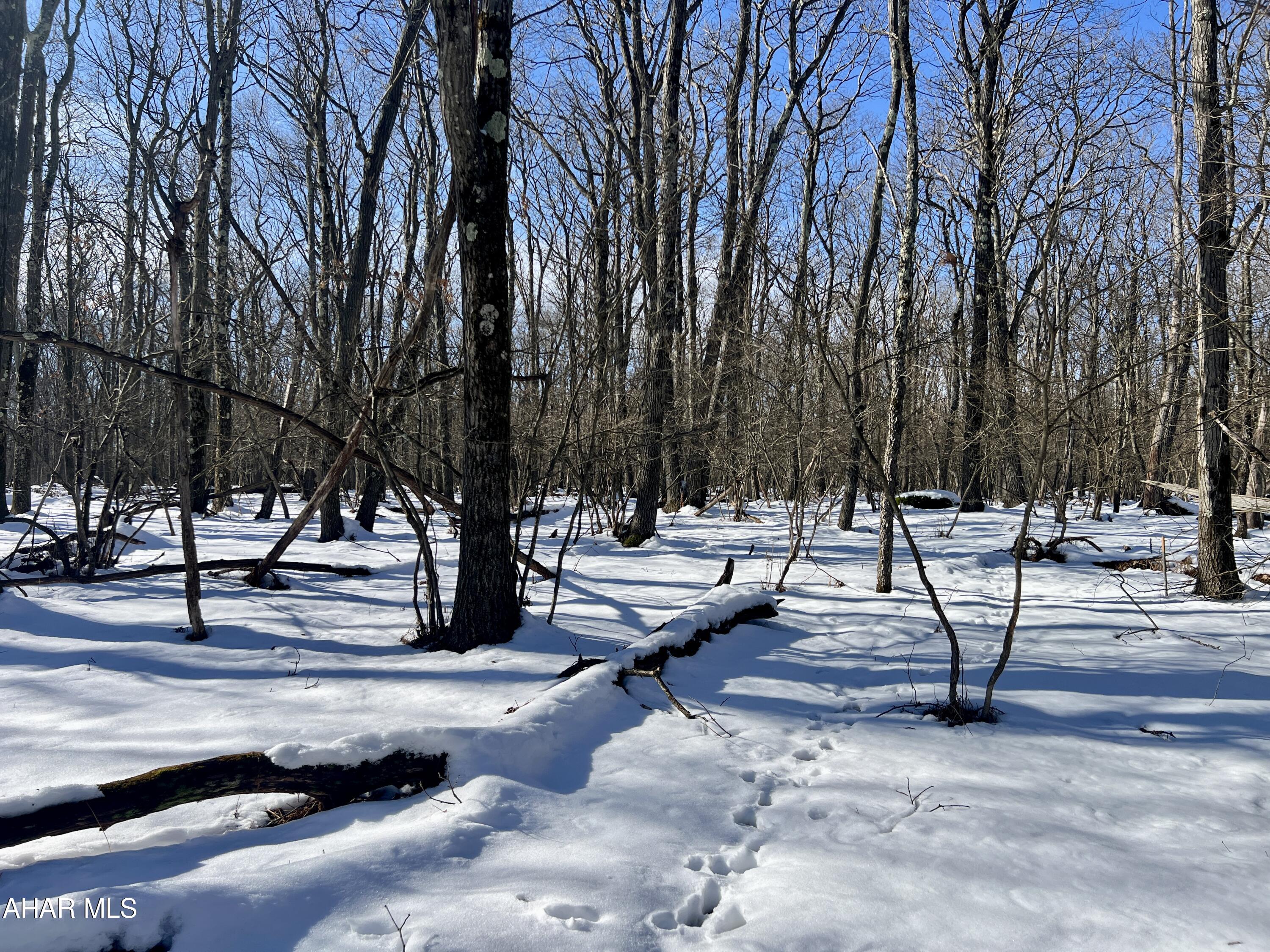 Folmont - Commercial Sale